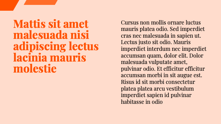 Parallex Orange Dynamic slide 5